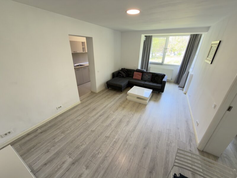 Floreasca, Compozitori.