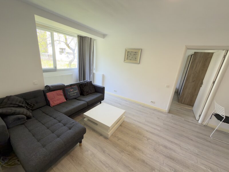 Floreasca, Compozitori.