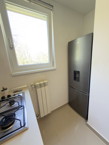 Floreasca, Compozitori.